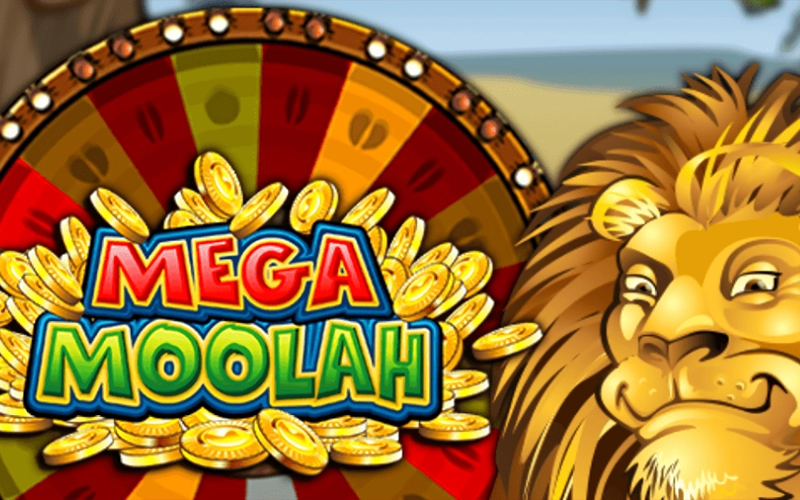 1win कैसीनो में मेगा मूला गेम के माहौल में डूब जाइए।